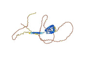 Human CD34 Monoclonal Antibody