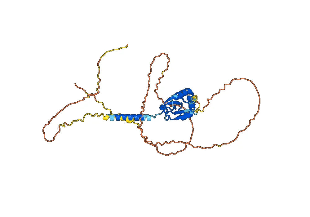 Human CD34 Monoclonal Antibody