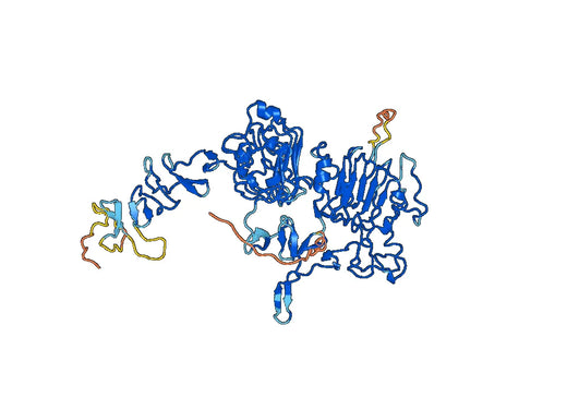 Human CD340 recombinant protein