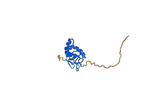 Human CD350-FZD10 recombinant protein