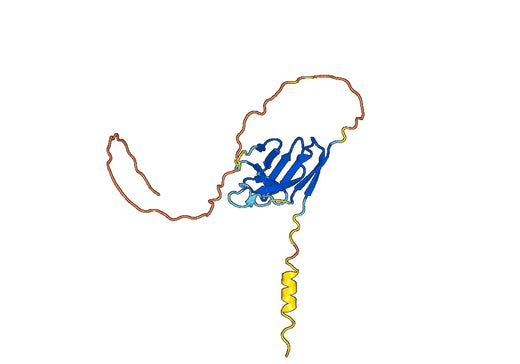 Human CD354-TREM1 recombinant protein