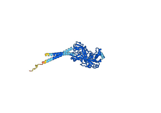 Human CD36L2 Monoclonal Antibody