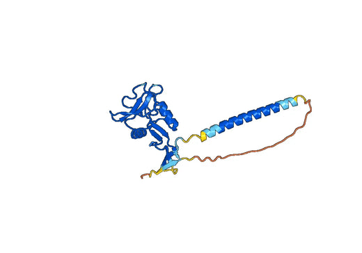 Human CD367/CLEC4A Monoclonal Antibody