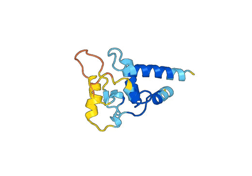 Human CD37 recombinant protein