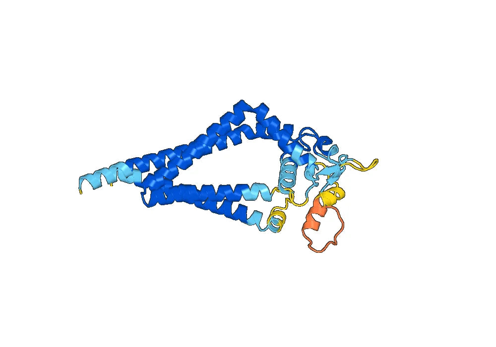 Human CD37/TSPAN26 Monoclonal Antibody