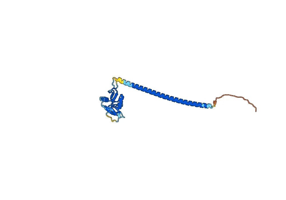 Human CD370/CLEC9A Monoclonal Antibody