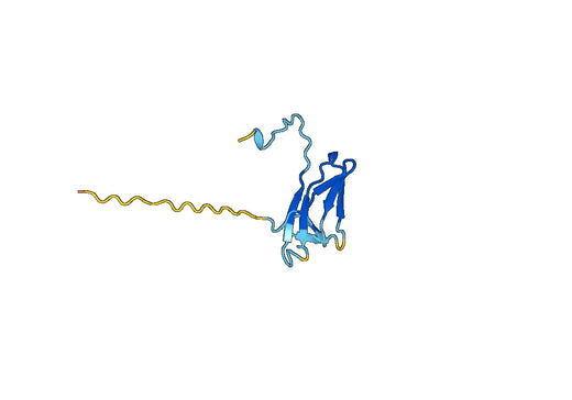 Human CD3D recombinant protein