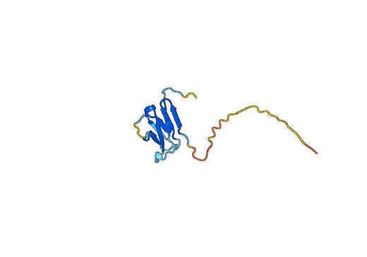 Human CD3E recombinant protein