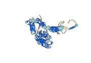 Human CD41/ITGA2B & CD61/ITGB3 (7E3#) Monoclonal Antibody