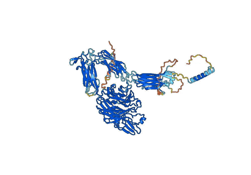 Human CD41/ITGA2B & CD61/ITGB3 (7E3#) Monoclonal Antibody