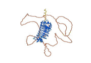 Human CD42b-GP1BA recombinant protein, C-His Tag