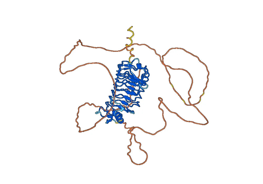 Human CD42b-GP1BA recombinant protein, C-His Tag