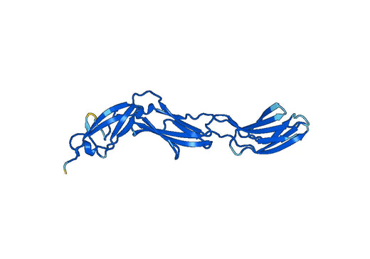 Human CD45 recombinant protein