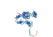 Human CD49b/ITGA2 Monoclonal Antibody
