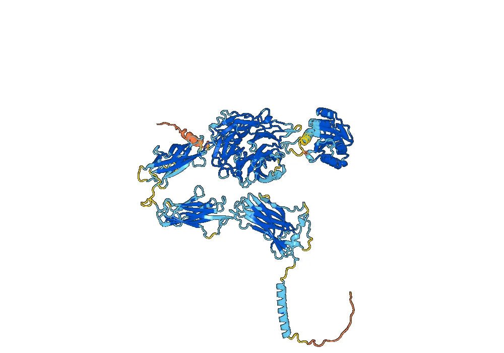 Human CD49b/ITGA2 Monoclonal Antibody