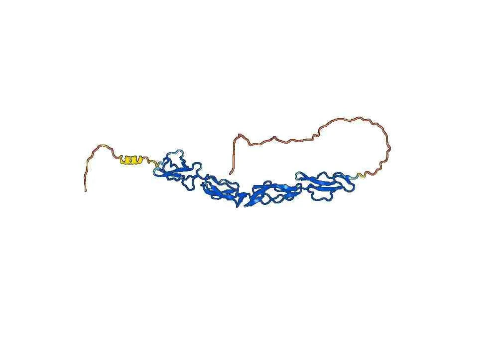 Human CD55 recombinant protein