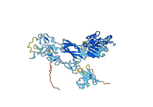 Human CD61-ITGB3 recombinant protein