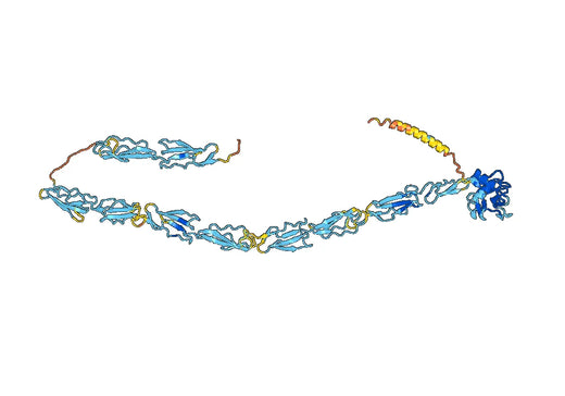 Human CD62P-SELP recombinant protein