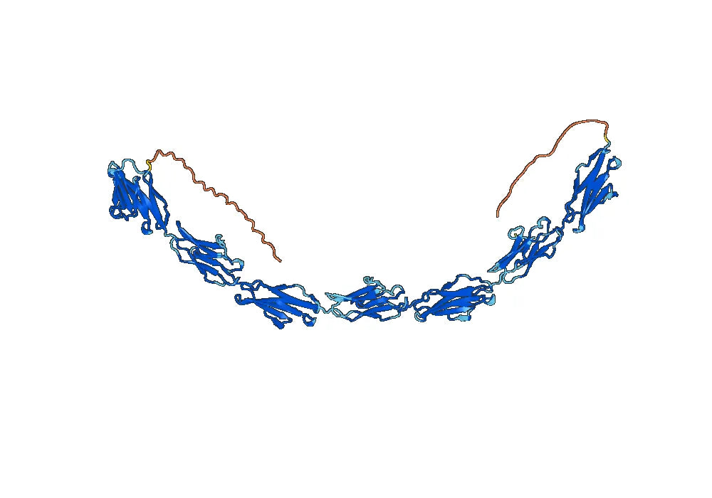 Human CD66e/CEA/CEACAM5 Monoclonal Antibody