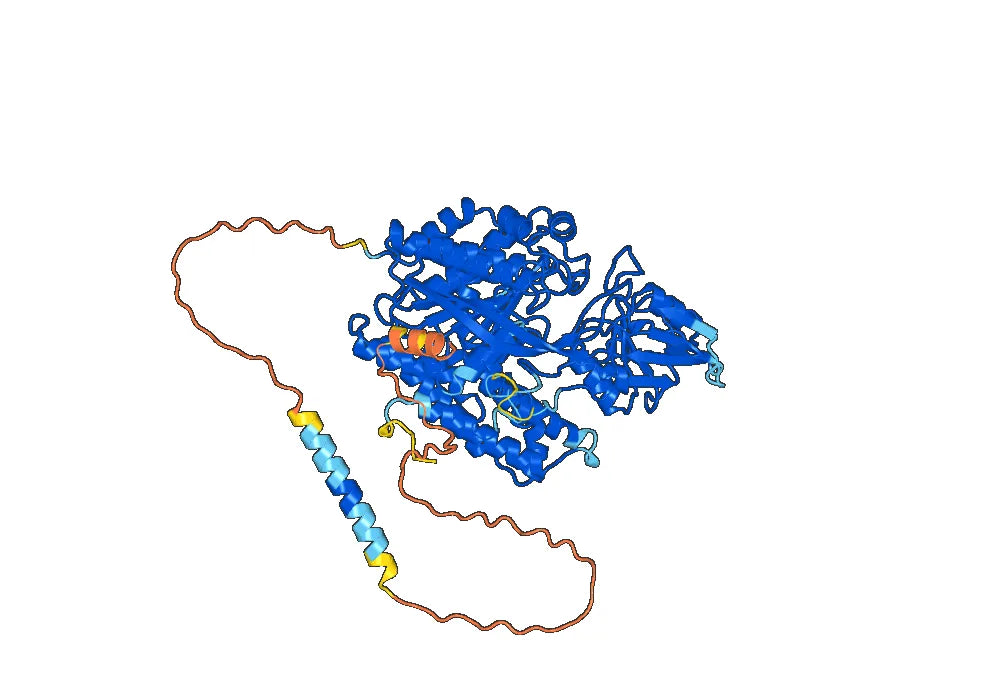 Human CD71/TFRC Monoclonal Antibody
