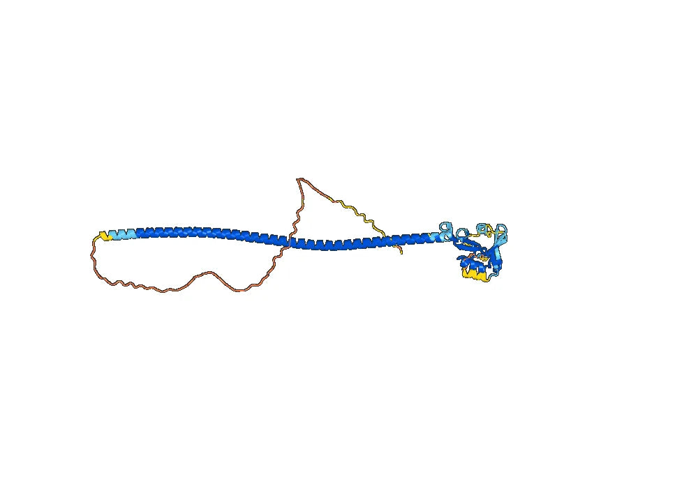 Human CD72 Monoclonal Antibody