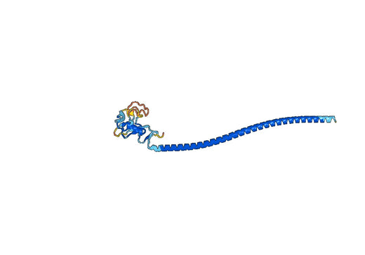 Human CD72 (Arg117-Asp359) recombinant protein