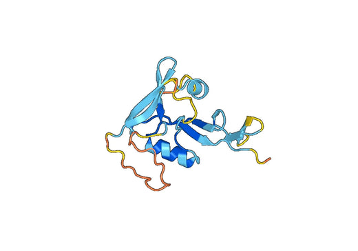 Human CD72 (Lys221-Asp359) recombinant protein