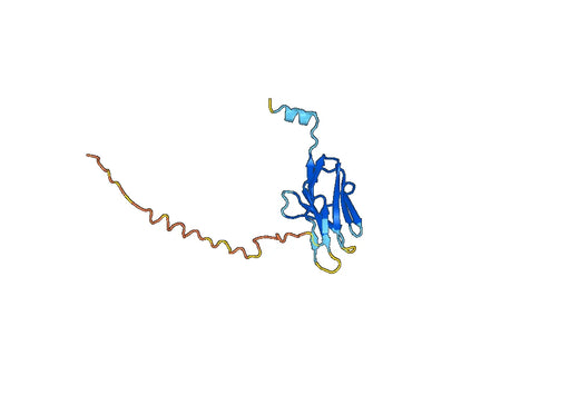 Human CD79β/CD79B recombinant protein