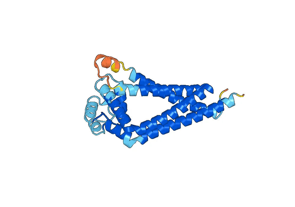 Human CD81 Monoclonal Antibody