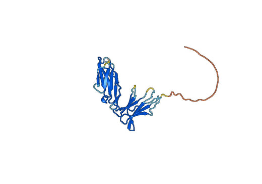 Human CD85f-LILRA5 recombinant protein