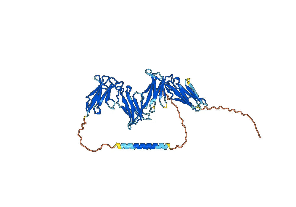 Human CD85g/LILRA4 Monoclonal Antibody