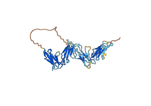 Human CD85i-LILRA1 recombinant protein