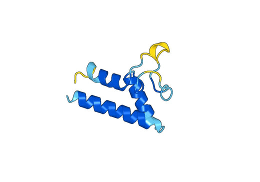 Human CD9 recombinant protein