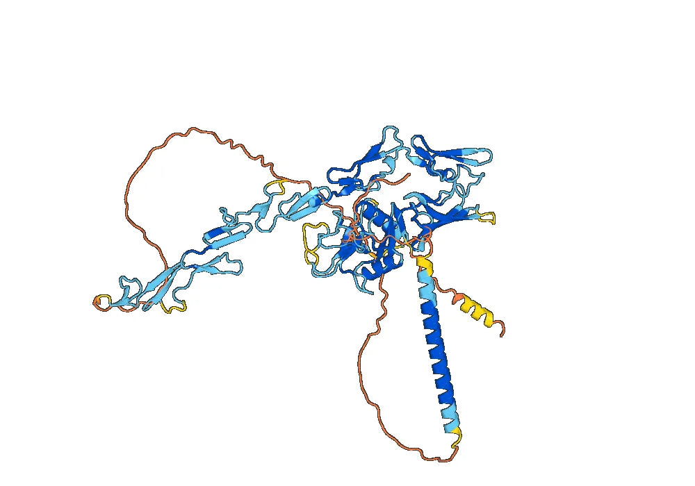 Human CD93/C1qR (070-016) Monoclonal Antibody
