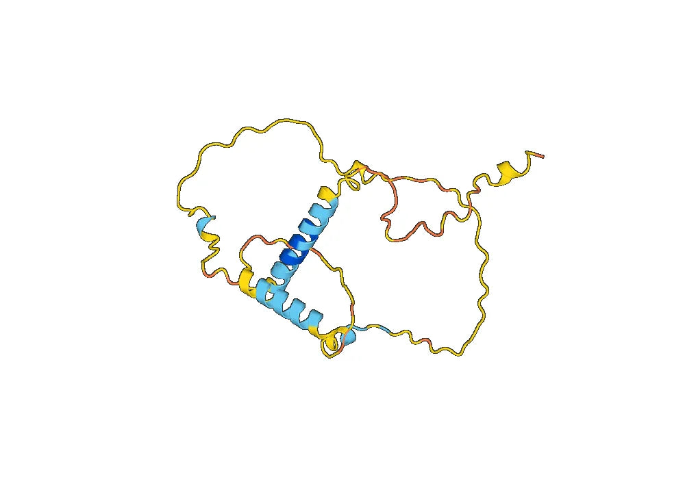 Human CD99 Monoclonal Antibody