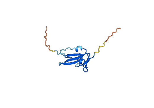 Human CDw293-BMPR1B recombinant protein