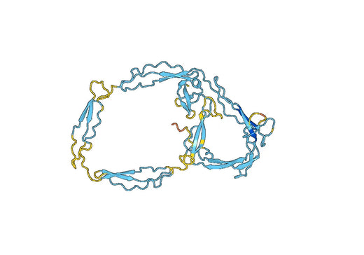 Human CFP recombinant protein
