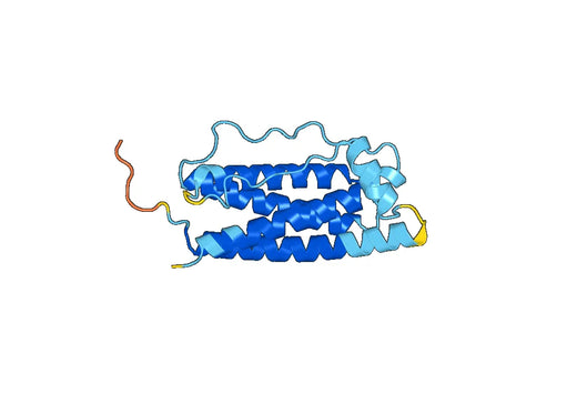 Human CSF3 / G-CSF recombinant protein