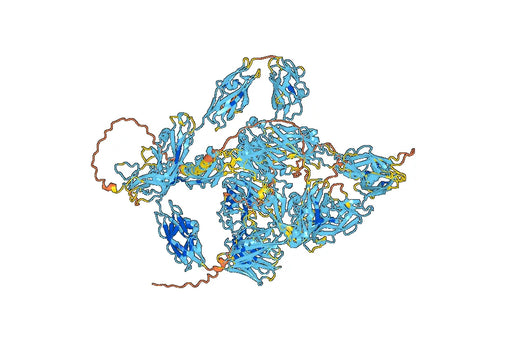 Human CSPG4/HMW-MAA/MCSP/NG2 Monoclonal Antibody