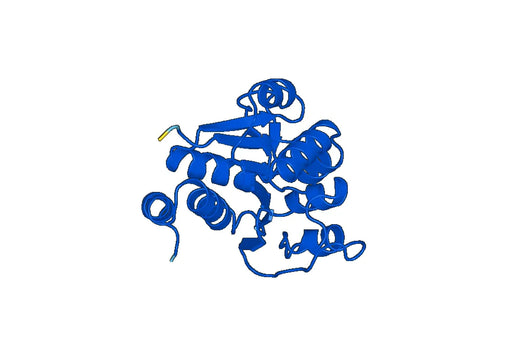 Human DJ1 Recombinant Protein