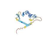 Human DKK3 recombinant protein