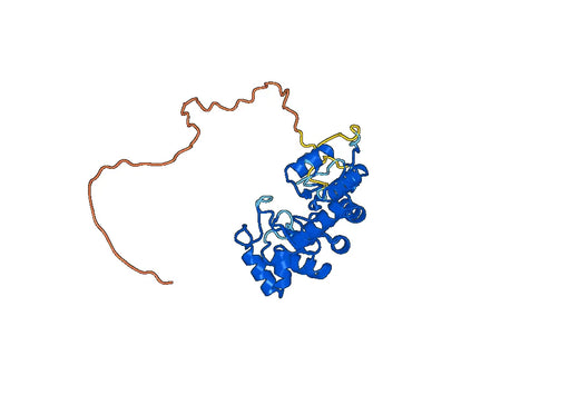 Human DPEP3 recombinant protein