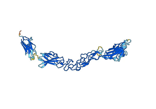 Human EPHA2 recombinant protein