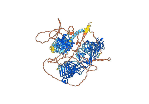 Human ERBB3/HER3 Monoclonal Antibody