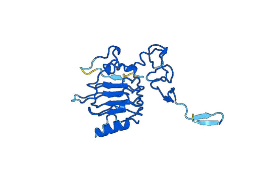 Human ERBB4 recombinant protein
