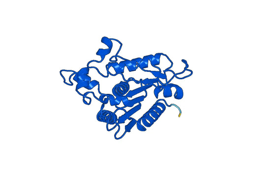 Human FAP protein (Ile523-Asp760)