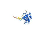 Human FGF1 Recombinant Protein