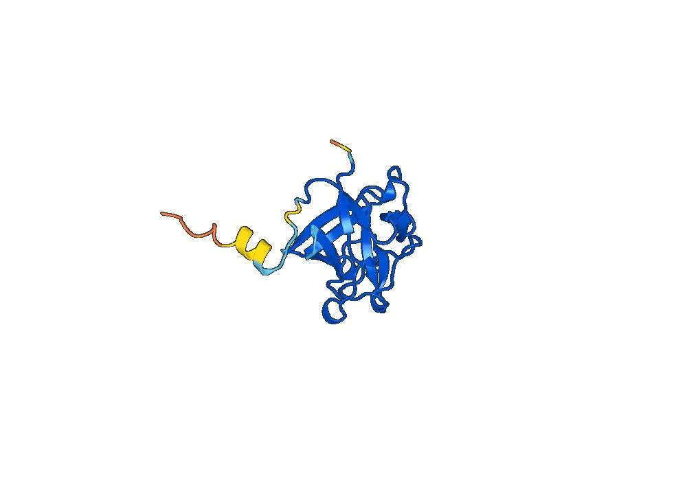 Human FGF1 Recombinant Protein