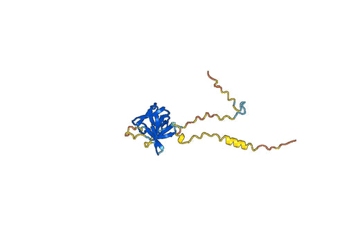 Human FGF21 recombinant protein