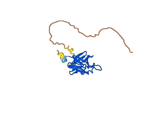 Human FGF9 recombinant protein